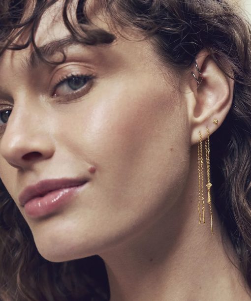 Alternative view of Duet Øredobber