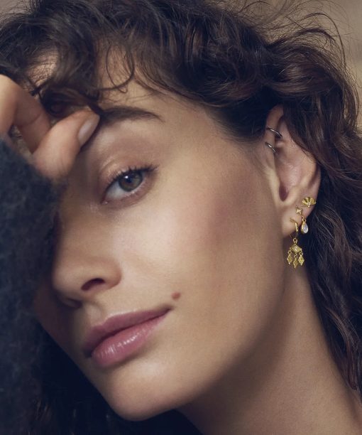 Alternative view of Poco Øredobber