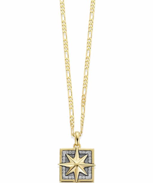 GD Mann Kompass Forgylt anheng i sølv med 50cm kjede