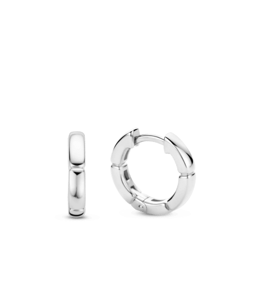 TI SENTO - Milano Earrings 7889SY