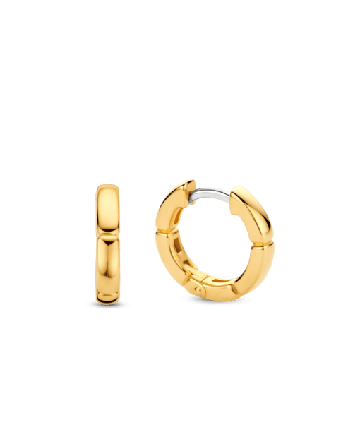 TI SENTO - Milano Earrings 7889SY