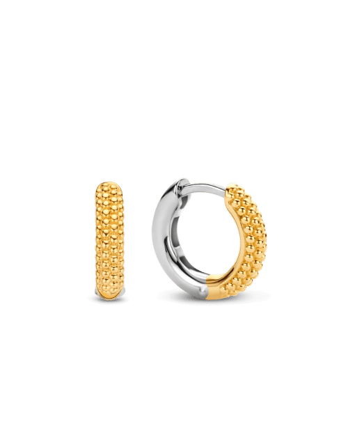 TI SENTO - Milano Earrings 7894SY