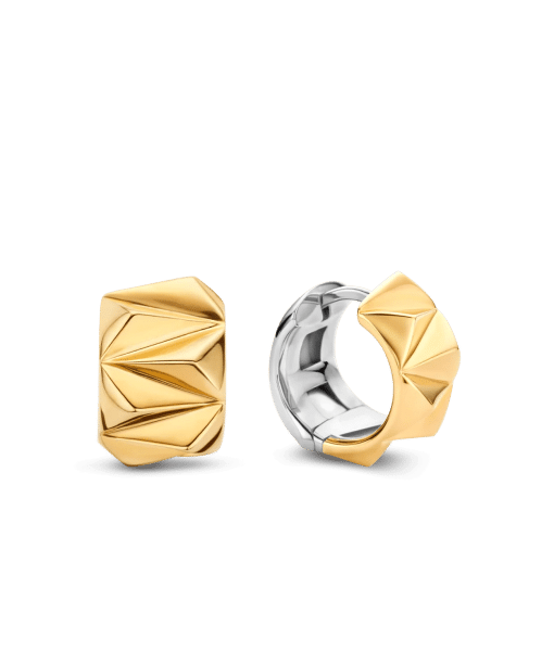 TI SENTO - Milano Earrings 7899SY