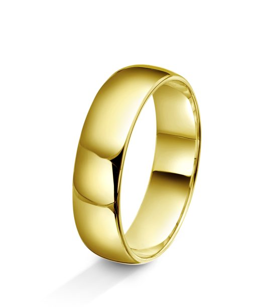 Amore forlovelsesring i 14kt gult gull 5mm - AD4-8005